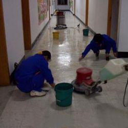 海珠區專業開荒清潔服務 一站式解決水泥石灰塵清除與地板打蠟批發需求